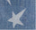 Blue Star Print
