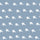 Blue Star Print