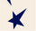White Denim w/ Blue Stars