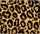 Cheetah Fur