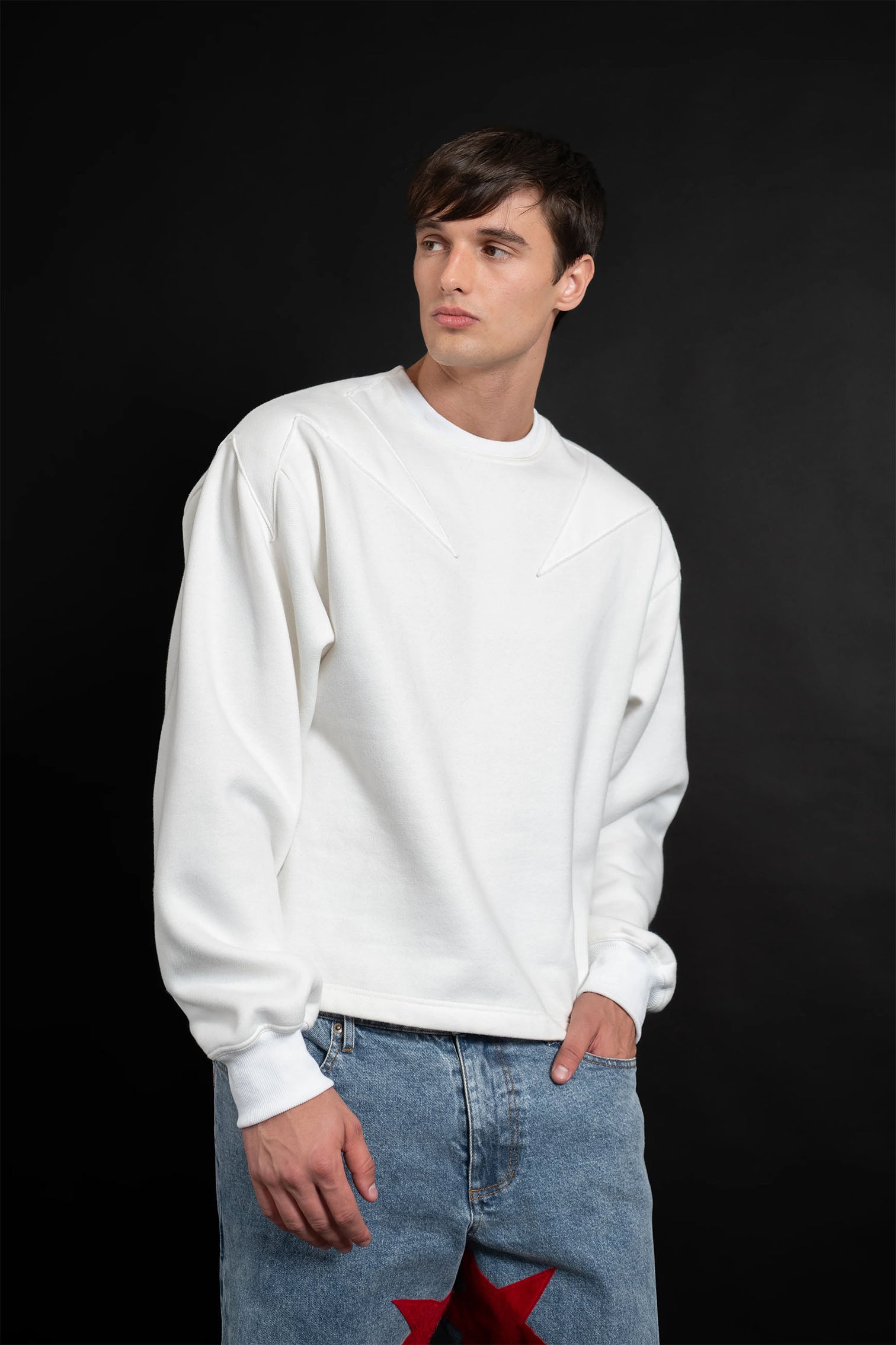 Applied Star Sweatshirt – Andrew Charles