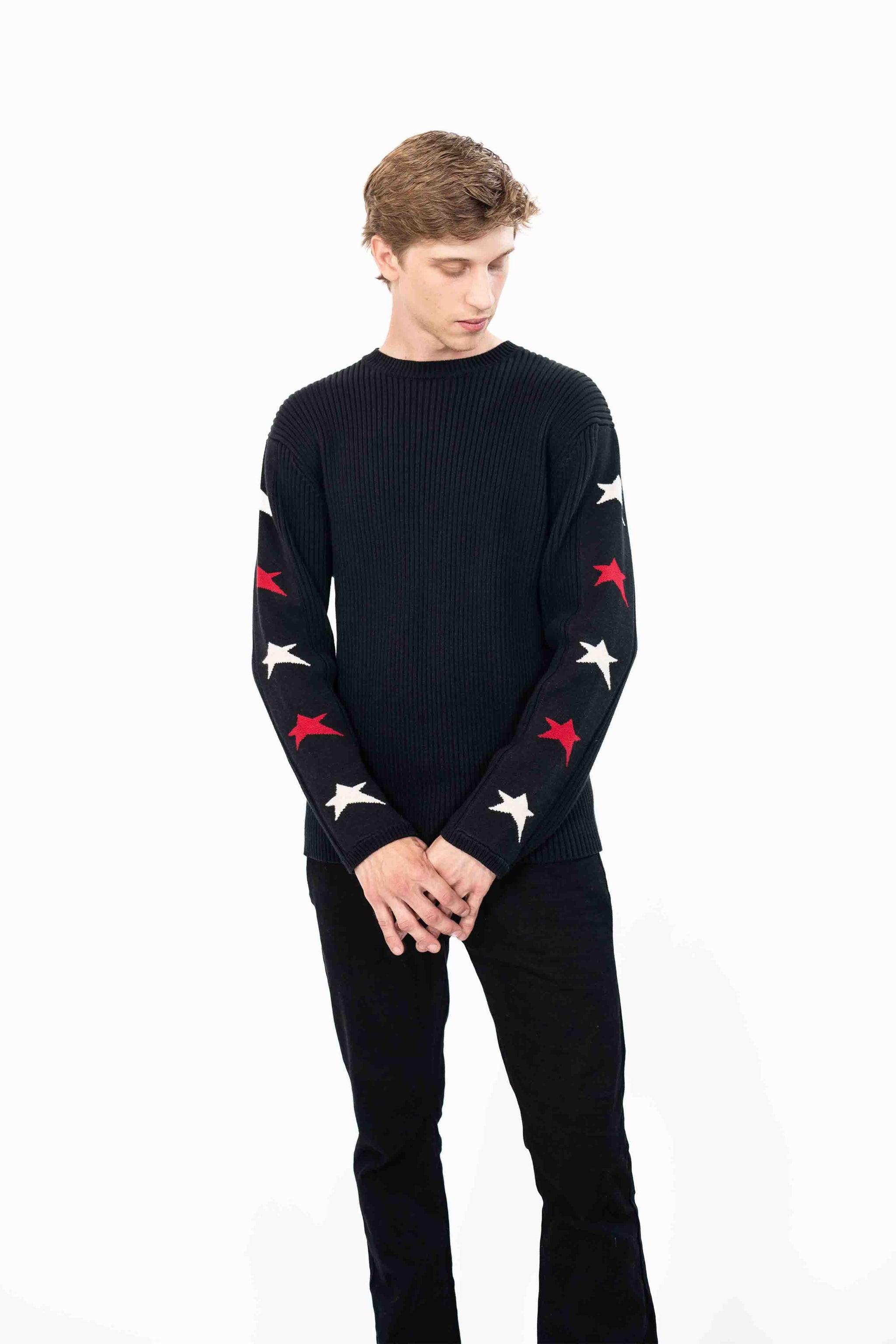 ARTS＆SCIENCE / crew neck sweater wings-crew-black-men-